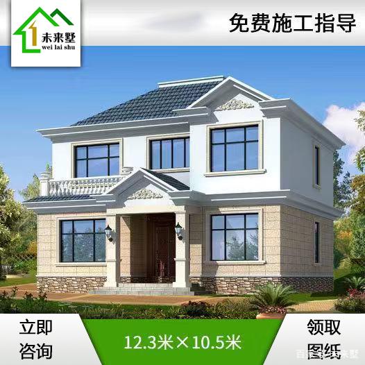 雙層自建別墅 雙層自建別墅