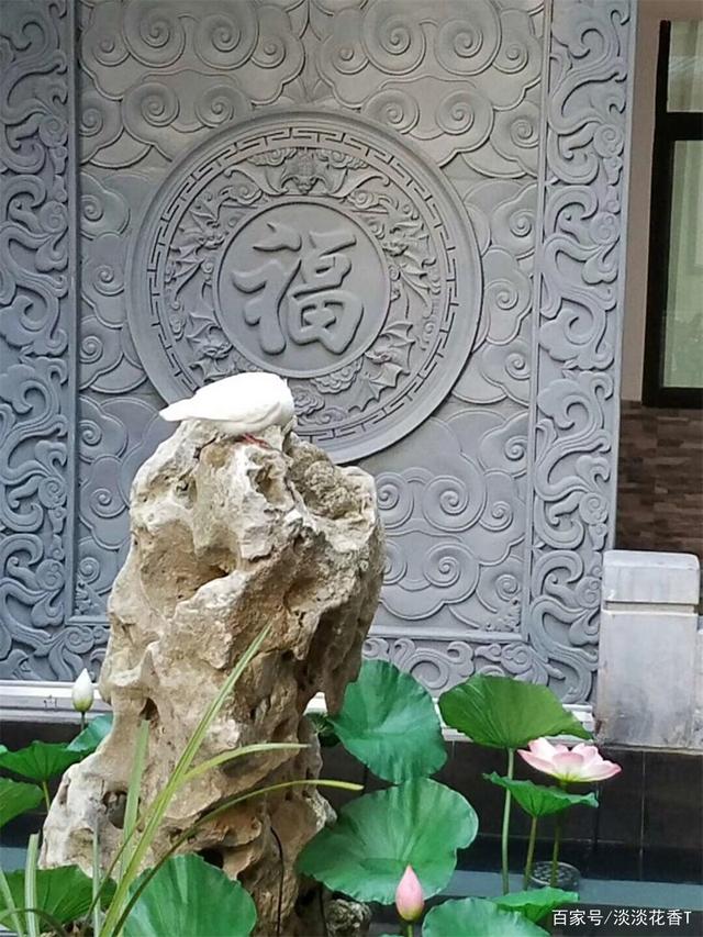中式園林設(shè)計(jì) 中式園林設(shè)計(jì)