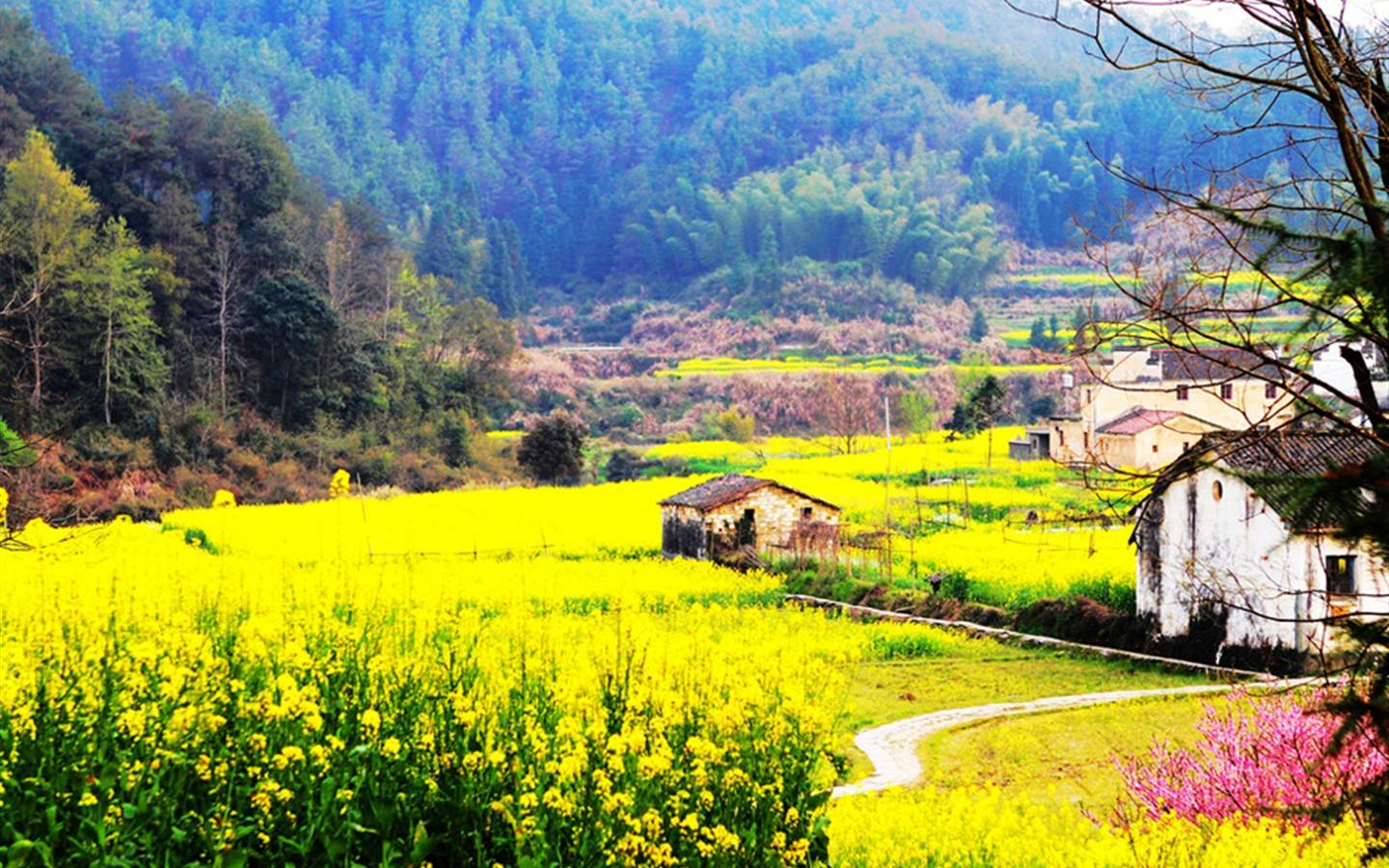 鄉(xiāng)村風(fēng)景.jpeg 鄉(xiāng)村風(fēng)景.jpeg