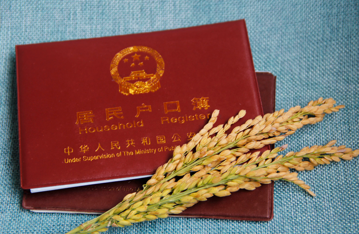 戶口“由城轉(zhuǎn)鄉(xiāng)”放開(kāi),達(dá)到條件的就可遷戶回村 (4).png 戶口“由城轉(zhuǎn)鄉(xiāng)”放開(kāi),達(dá)到條件的就可遷戶回村 (4).png