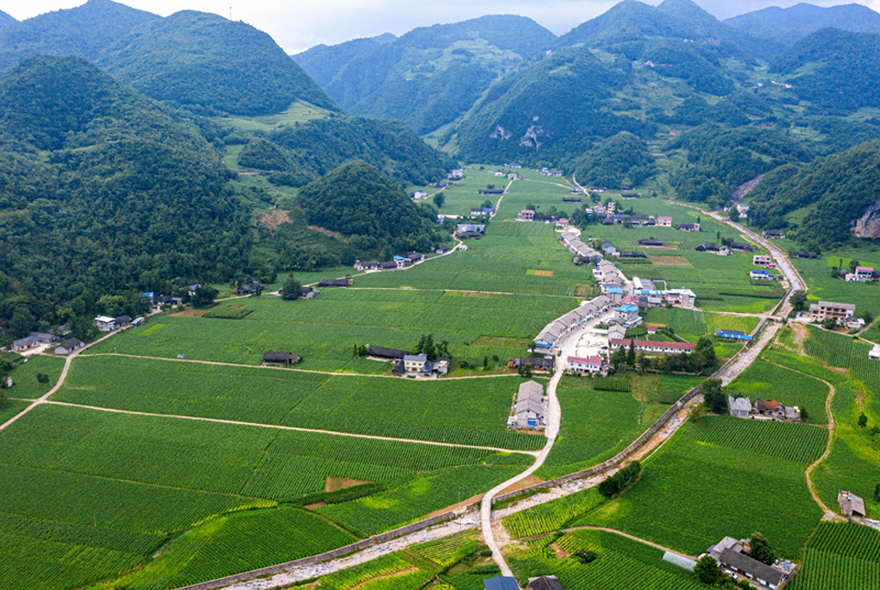 戶口遷出有哪些方法.png 戶口遷出有哪些方法.png