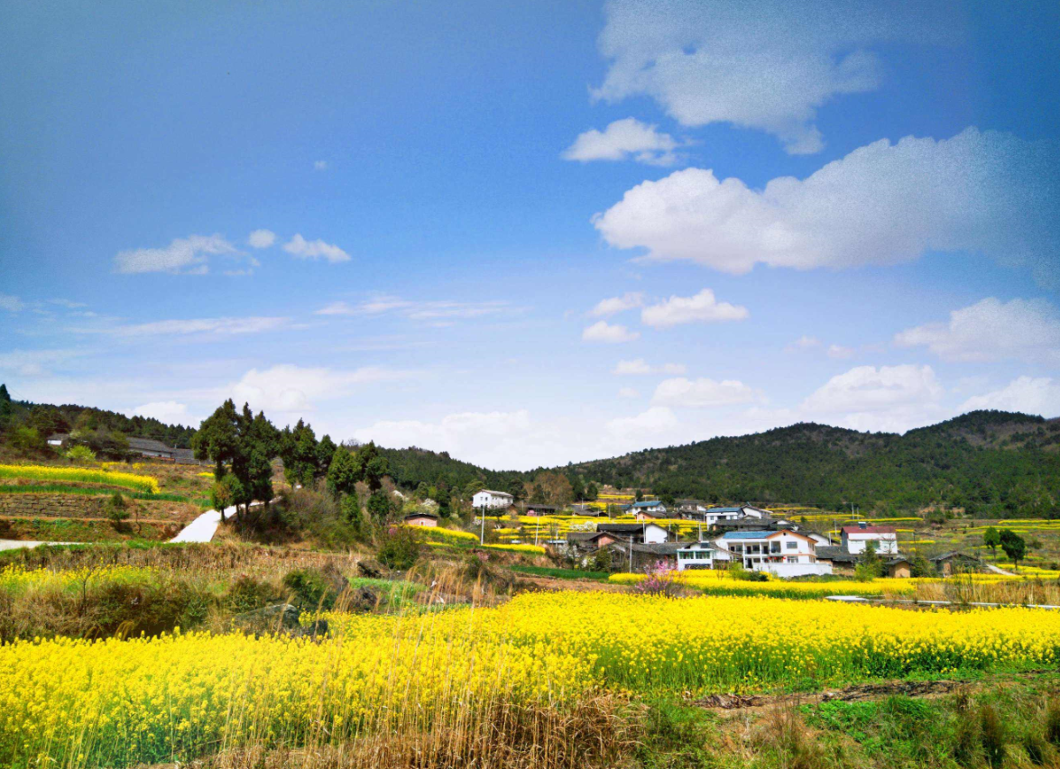 路沖房子什么屬相住好.png 路沖房子什么屬相住好.png