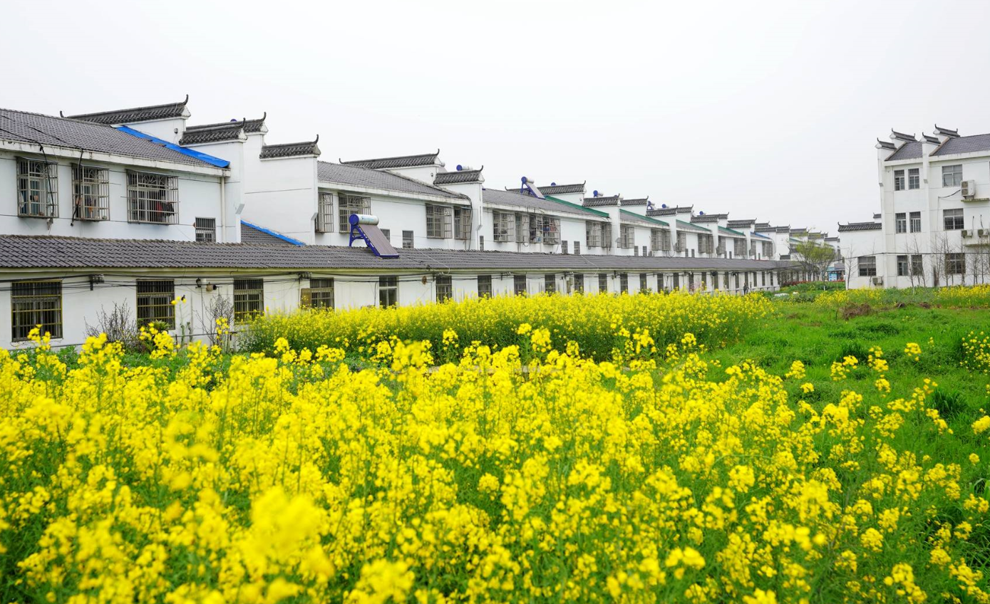 哪一種違建房可以不拆或緩拆.png 哪一種違建房可以不拆或緩拆.png