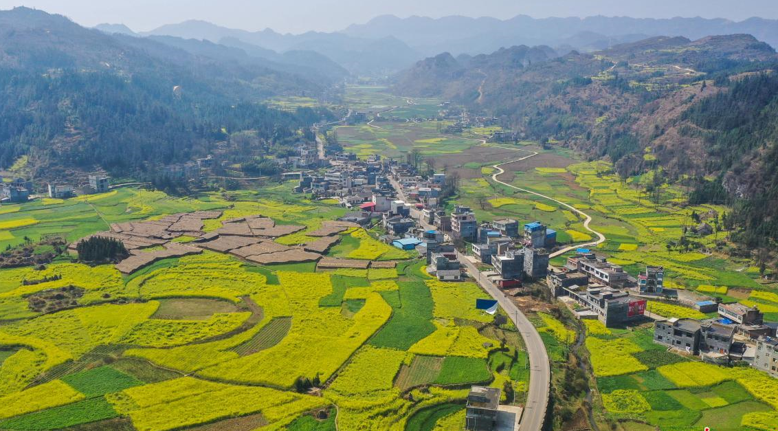 農(nóng)村這三種違建可不拆.png 農(nóng)村這三種違建可不拆.png