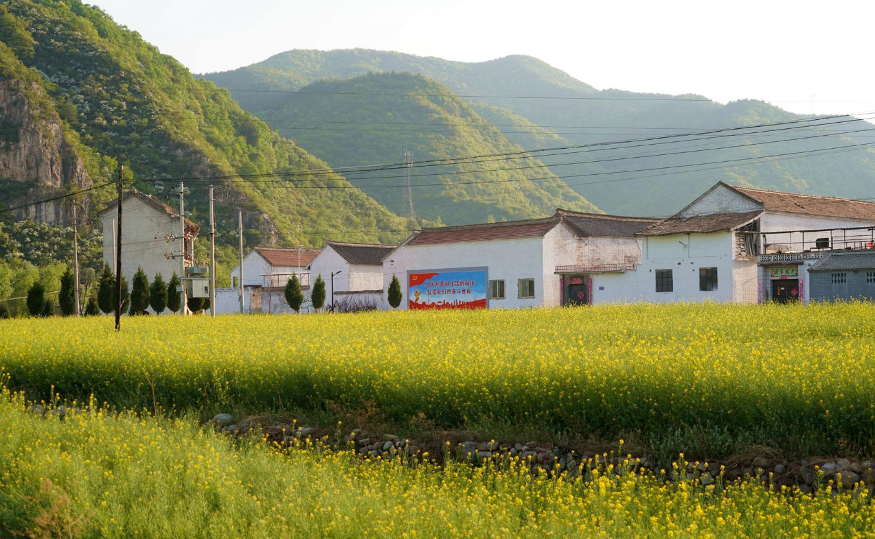農村買賣土地合不合法 (2).png 農村買賣土地合不合法 (2).png