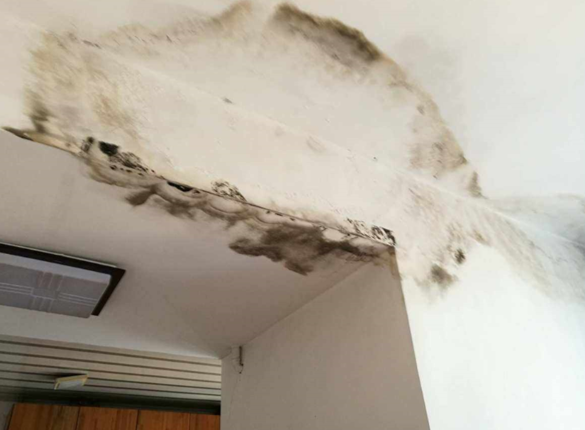 房屋漏水鑒定機構的法律規定是什么.png 房屋漏水鑒定機構的法律規定是什么.png