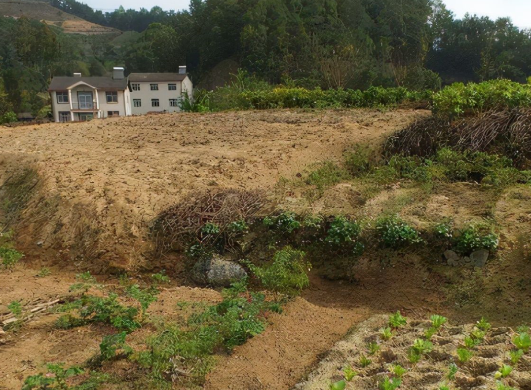 集體土地使用權(quán)證可以繼承嗎 (1).png 集體土地使用權(quán)證可以繼承嗎 (1).png