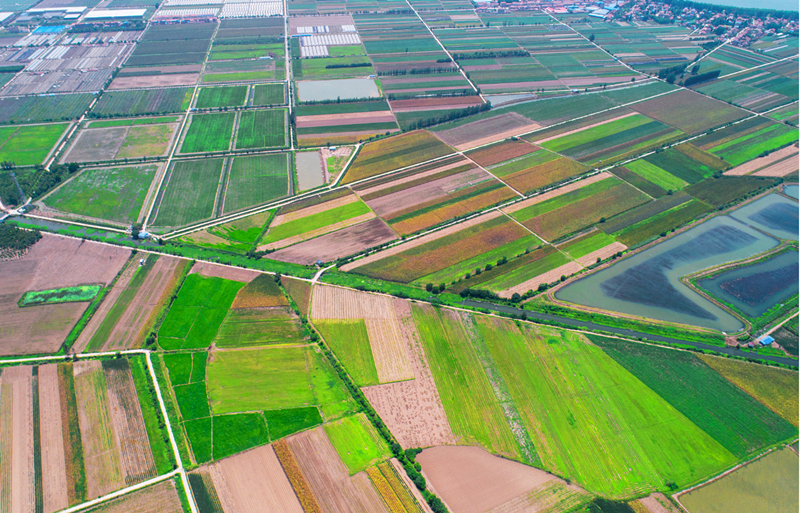 協(xié)議出讓土地使用權(quán)程序是怎樣的.png 協(xié)議出讓土地使用權(quán)程序是怎樣的.png