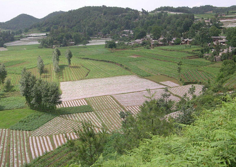 集體土地使用證非農(nóng)戶口可以辦理嗎 (3).png 集體土地使用證非農(nóng)戶口可以辦理嗎 (3).png