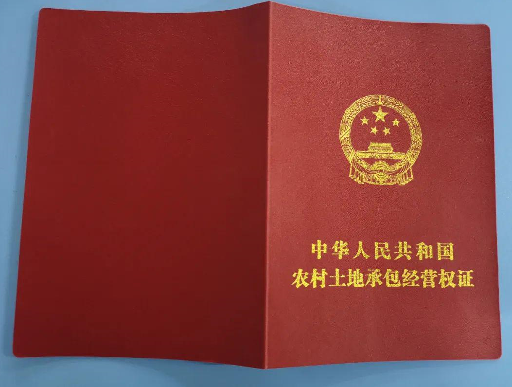 沒有進行確權的土地怎么辦? (2).png 沒有進行確權的土地怎么辦? (2).png