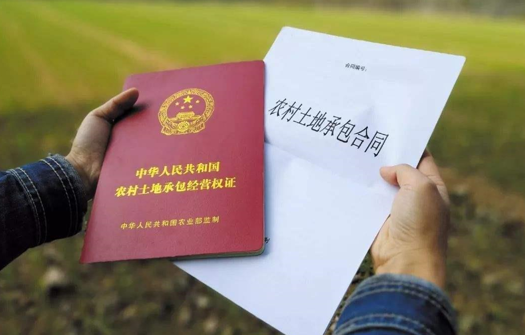 怎么進行農村土地確權?.png 怎么進行農村土地確權?.png