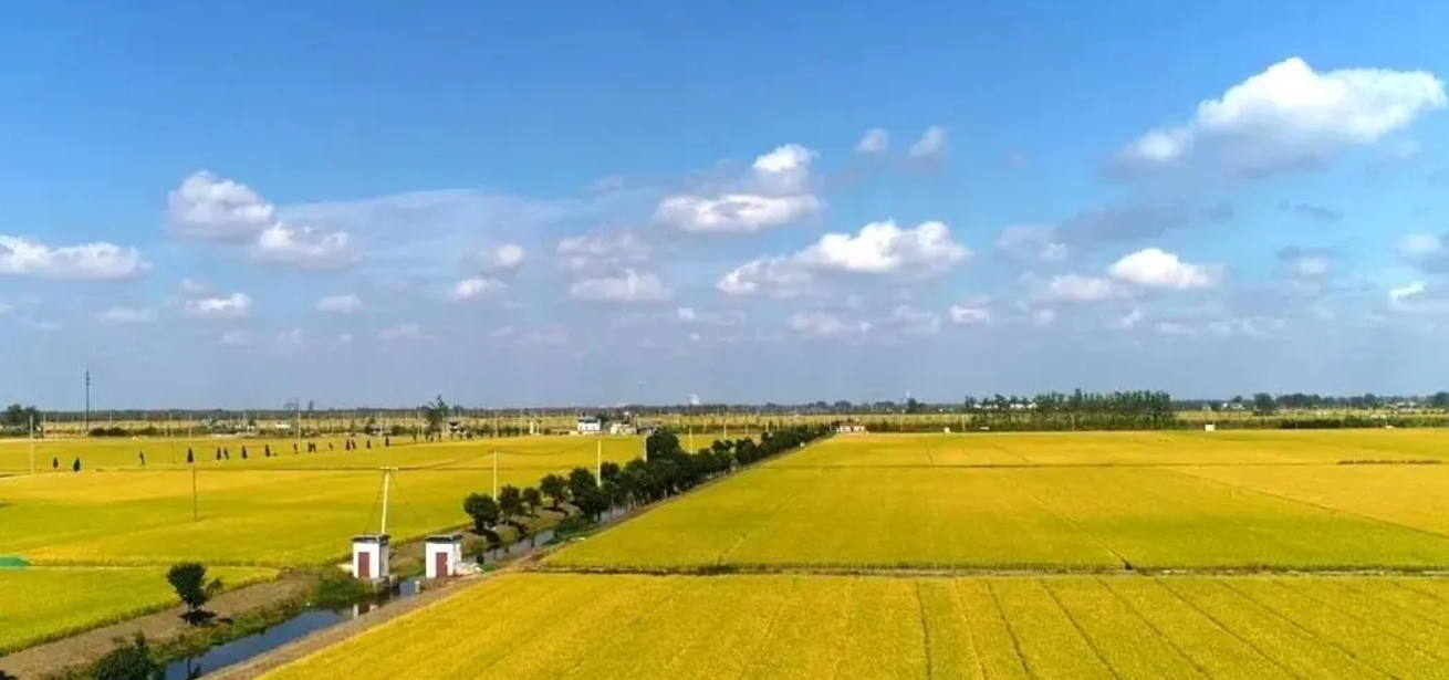 土地確權時,有個“4確3不確”的說法 (2).png 土地確權時,有個“4確3不確”的說法 (2).png