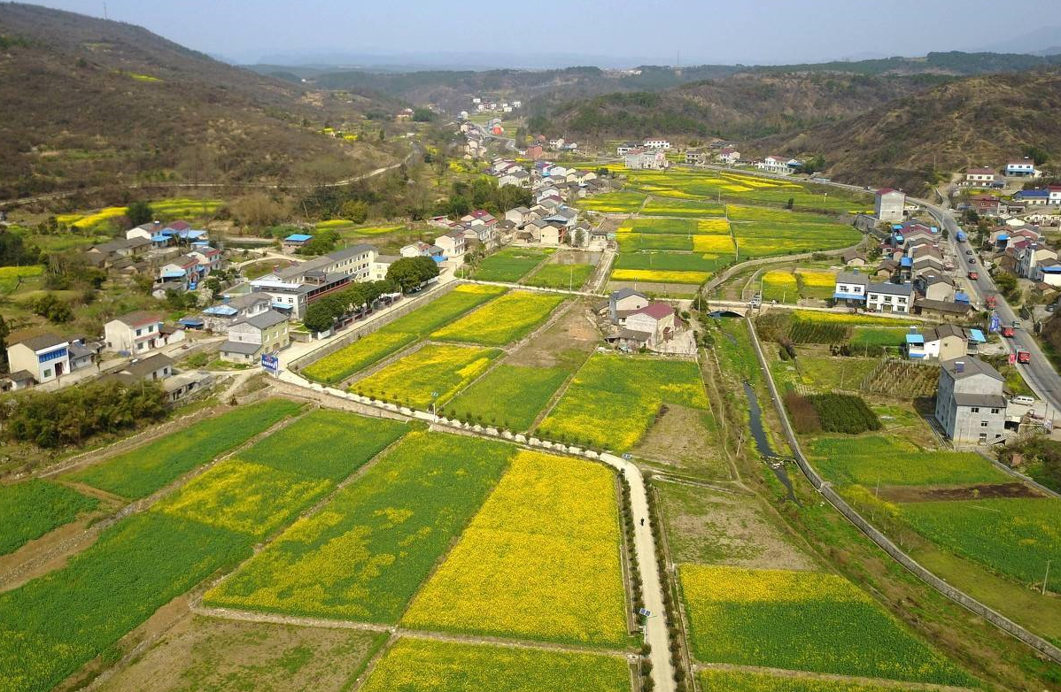 土地確權和戶口有關系嗎 (2).png 土地確權和戶口有關系嗎 (2).png