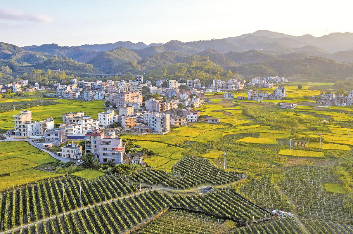 國家土地性質(zhì)分類標準.png 國家土地性質(zhì)分類標準.png