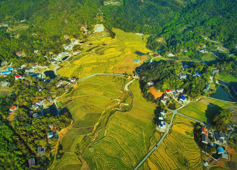 農村自建房子風水不好怎么辦.png 農村自建房子風水不好怎么辦.png