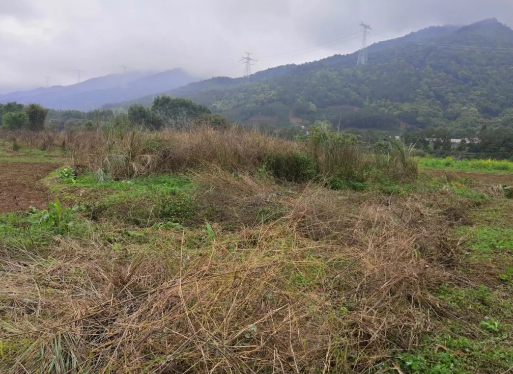 農村荒地征收補償標準是多少.png 農村荒地征收補償標準是多少.png