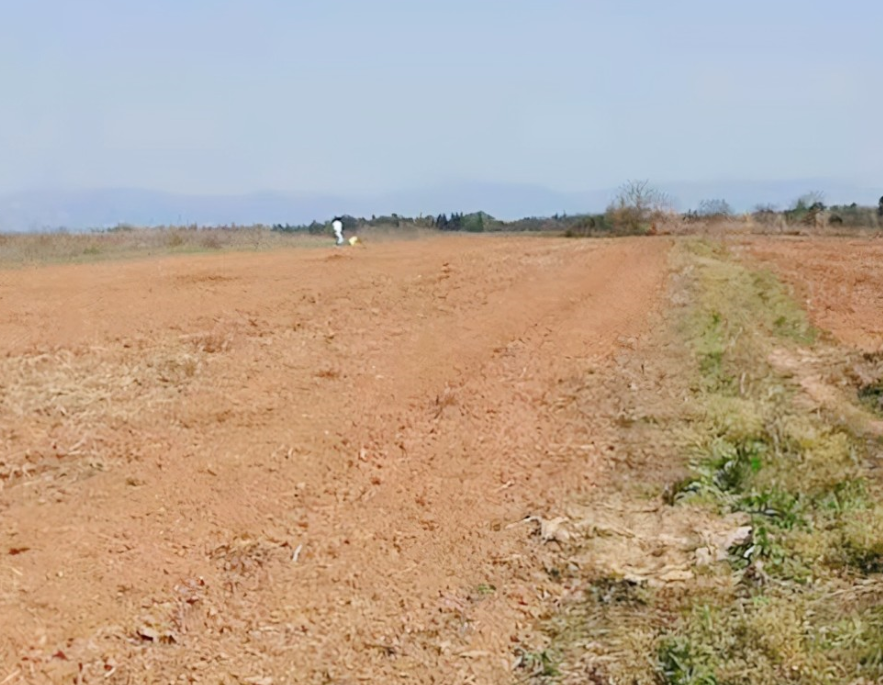 征收農村荒地的基本流程有哪些.png 征收農村荒地的基本流程有哪些.png