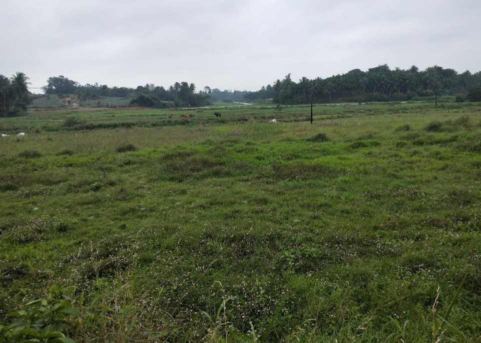 征收農村荒地的基本流程有哪些 (2).png 征收農村荒地的基本流程有哪些 (2).png