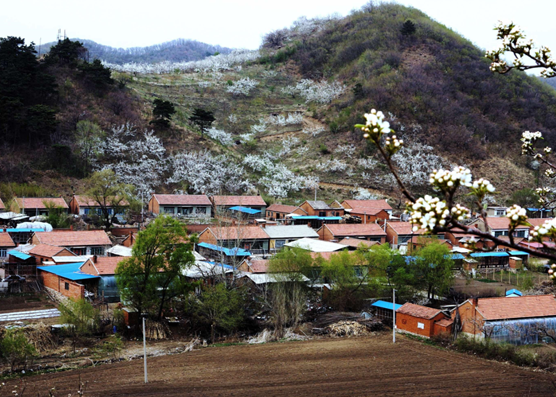 鄰居家的房屋比自家的房屋高怎么辦 (2).png 鄰居家的房屋比自家的房屋高怎么辦 (2).png